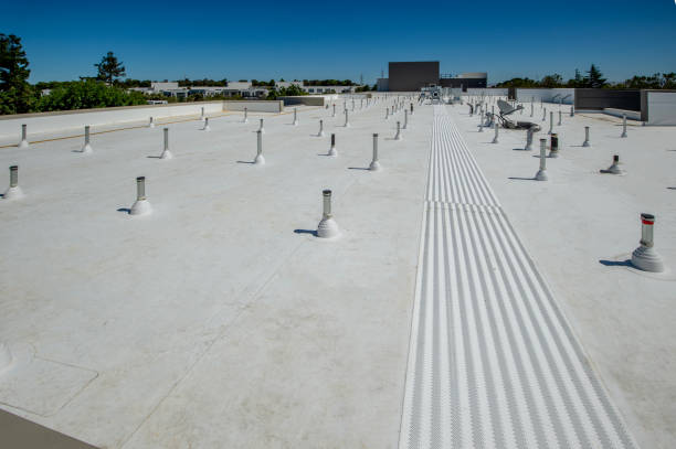 Best Roof Coating and Sealing  in Zeigler, IL